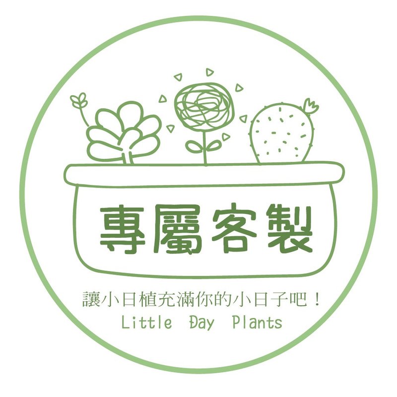 【客订】 - 干燥花/捧花 - 木头 多色