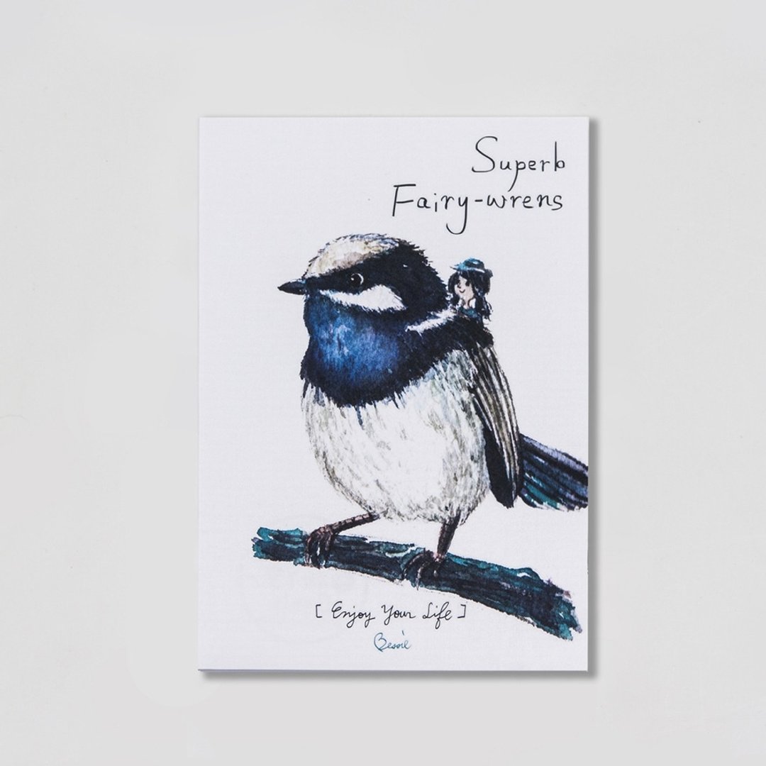 BIRDER  系列 - Superb Fairy-wrens - 卡片/明信片 - 纸 白色