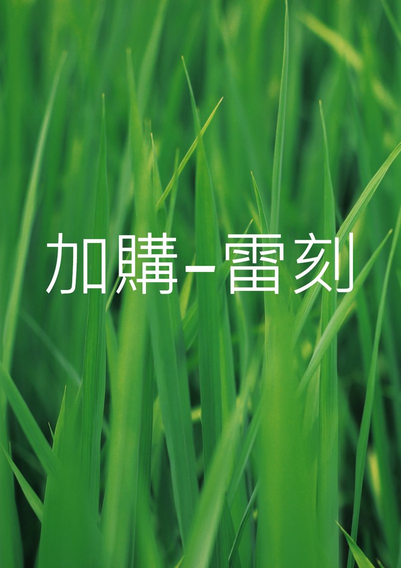 加购~定制雷刻费 - 其他 - 竹 金色