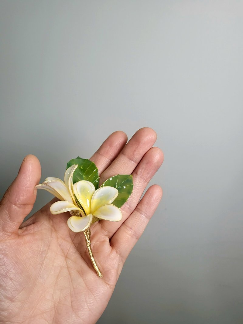 鸡蛋花。胸针。沾浸艺术花。饰物。生日礼物 - 胸针 - 树脂 