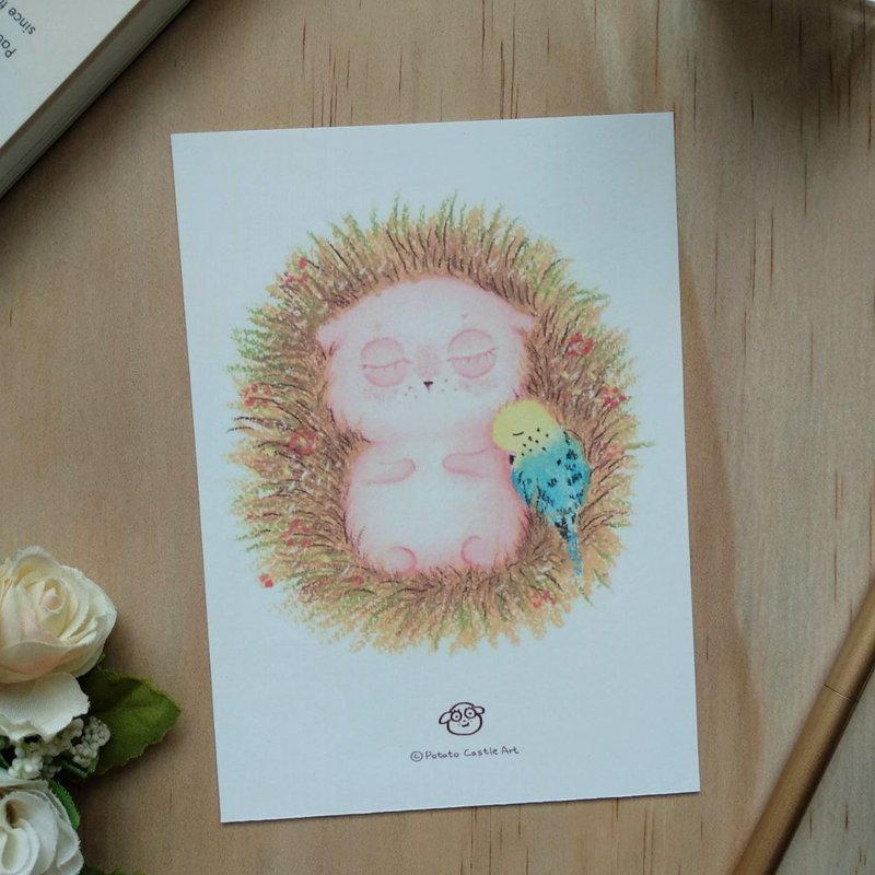 可爱原创插画 马铃薯狗狗 明信片 午睡 - 卡片/明信片 - 纸 橘色