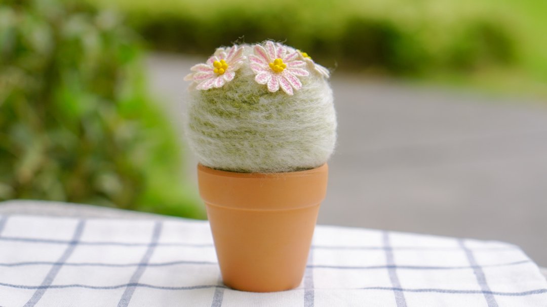 Handmade crochet cactus  in terracotta pot - 植栽/盆栽 - 棉 绿色