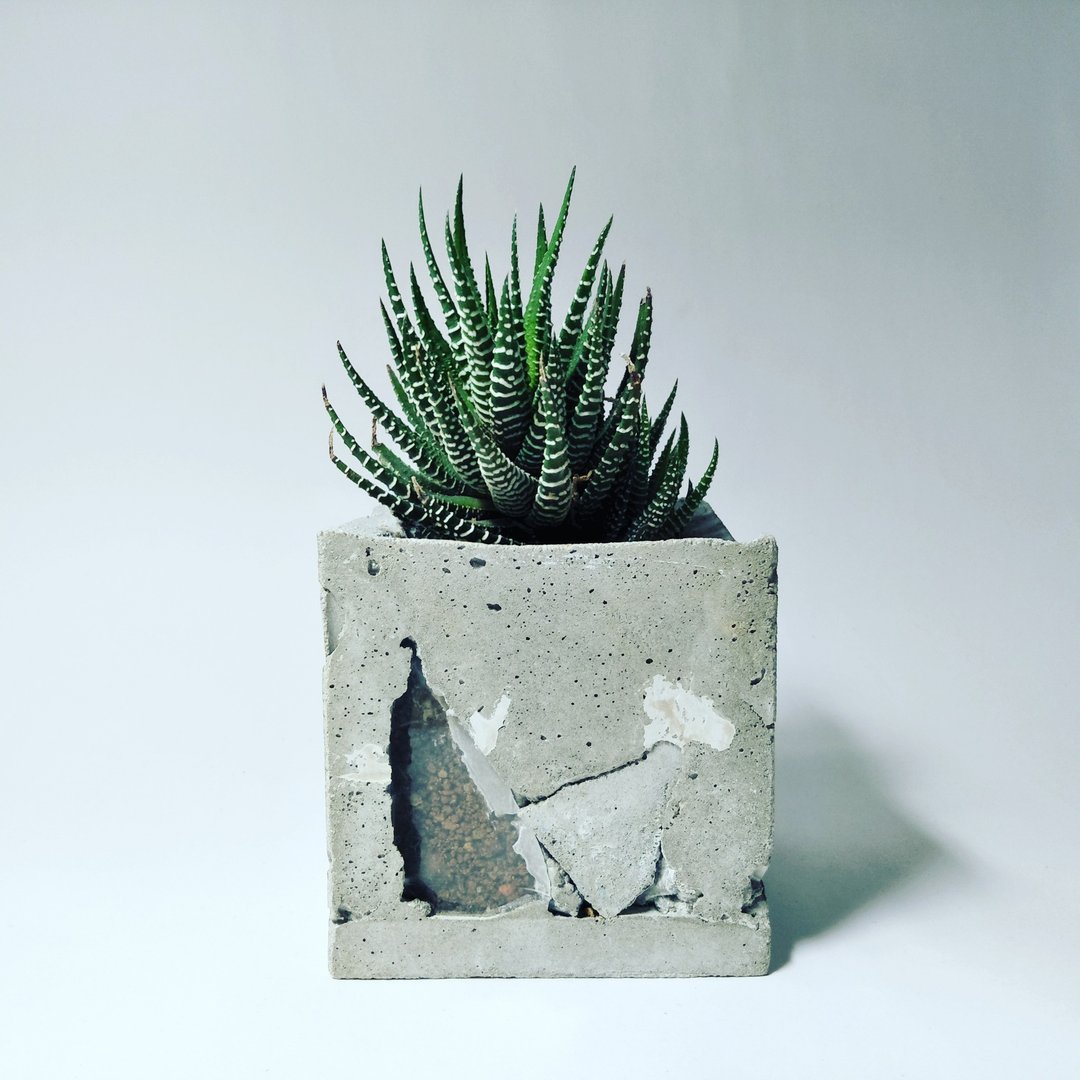 水泥窗盆 - 植栽/盆栽 - 水泥 灰色