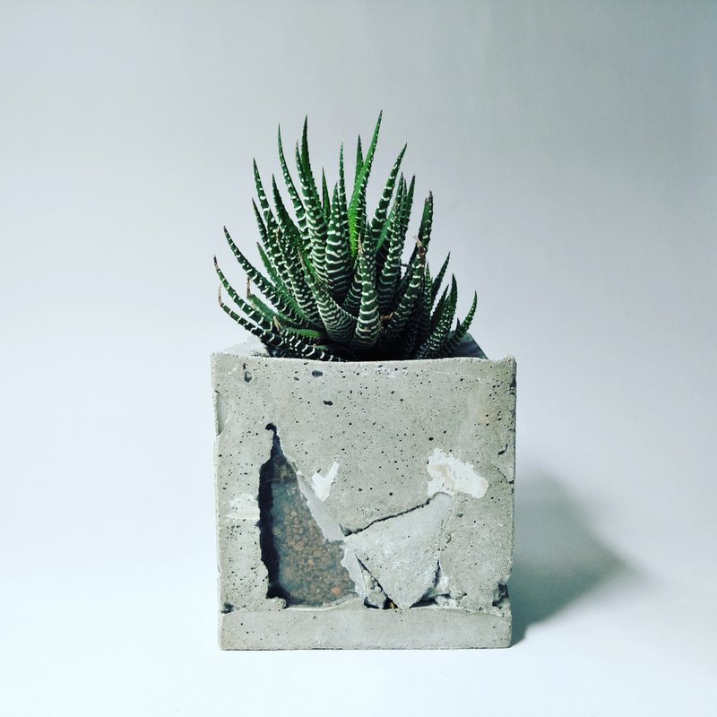 水泥窗盆 - 植栽/盆栽 - 水泥 灰色