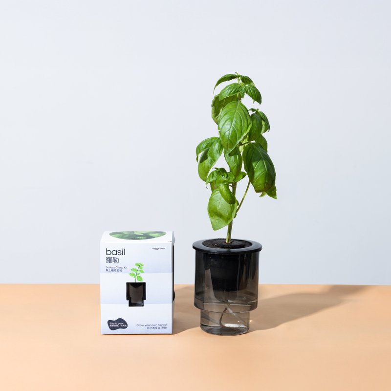 自己种 厨房香草系列: Veggroom 水耕罗勒种植套装 - 植栽 - 植物．花 灰色