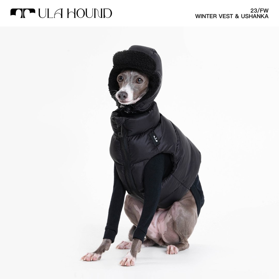 UlaHound 宠物面包背心/雷锋帽 - 衣/帽 - 其他人造纤维 多色