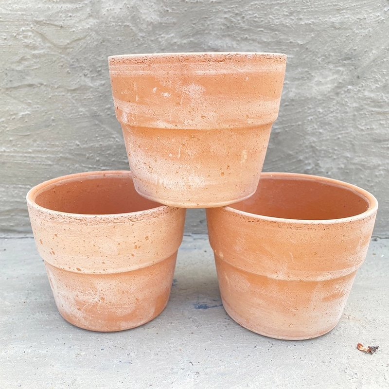 【豆豆多肉】【小陶盆】乔迁│送礼│升迁│多肉植 - 花瓶/陶器 - 植物．花 