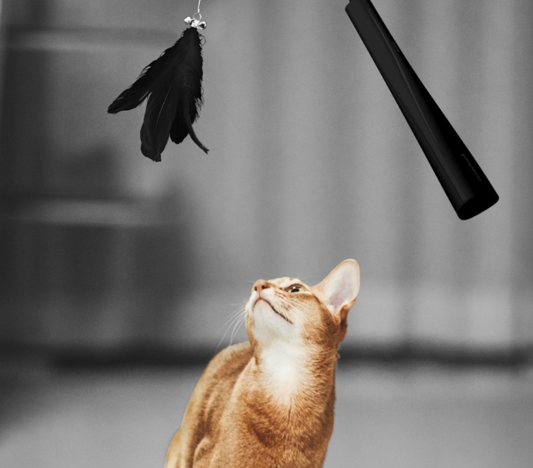 韩国雷射光+玩具羽毛 逗猫棒 猫玩具 与猫玩乐时光棒 - 玩具 - 硅胶 