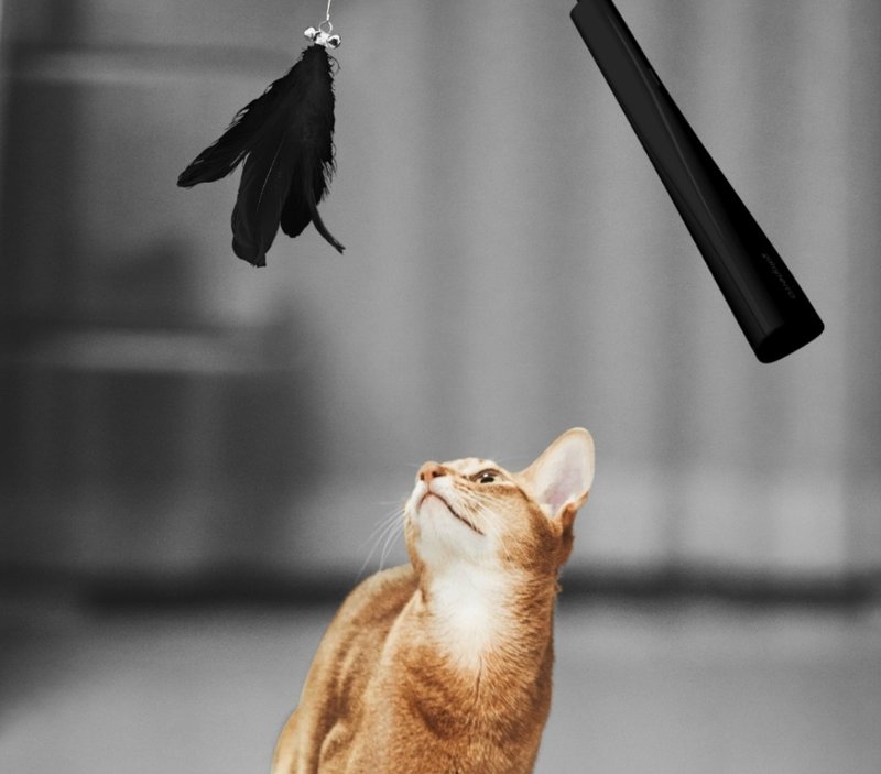韩国雷射光+玩具羽毛 逗猫棒 猫玩具 与猫玩乐时光棒 - 玩具 - 硅胶 