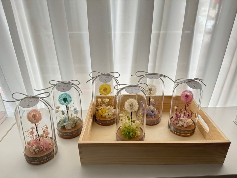 永生花浦公英玻璃花盅   浦公英 蒲公英 - 干燥花/捧花 - 植物．花 