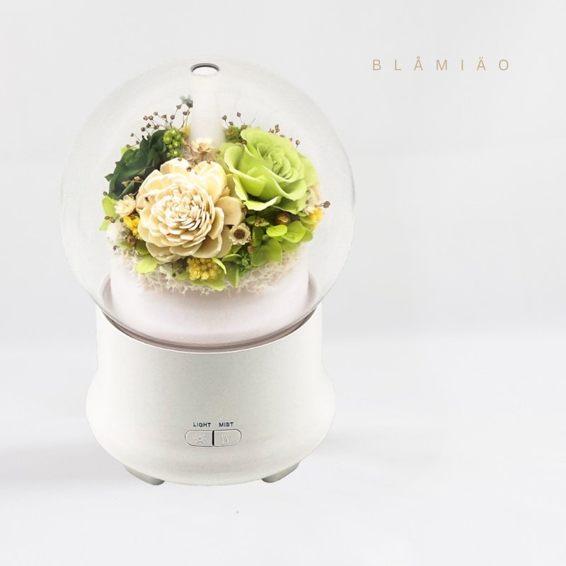 花漾加湿器 - 新绿 - 干燥花/捧花 - 植物．花 绿色