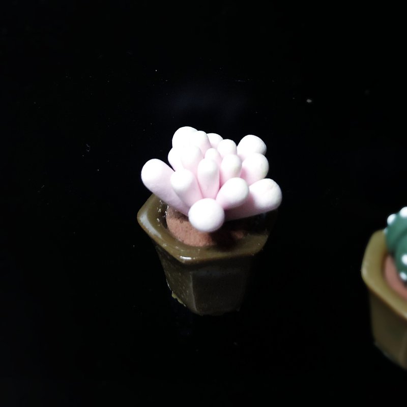 Q版多肉植物花盆磁石 - 冰箱贴/磁贴 - 粘土 