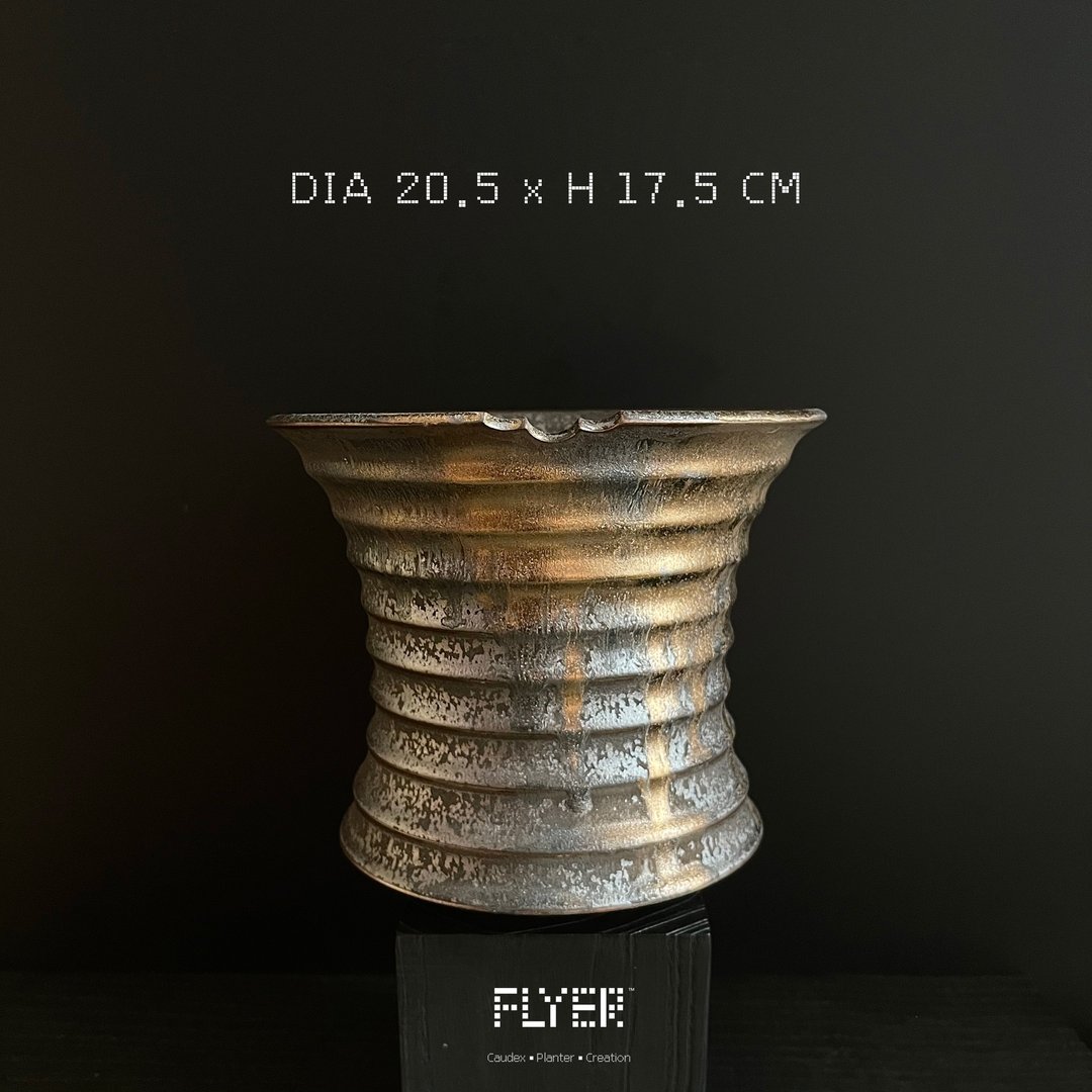 FLYER 块根多肉植物陶盆器 龙舌兰象牙宫象足漆树盆器 - 花瓶/陶器 - 陶 