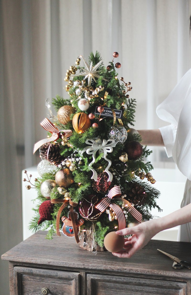 金色礼赞【新鲜圣诞树】诺贝松与雪松 圣诞树 - 植栽/盆栽 - 植物．花 多色