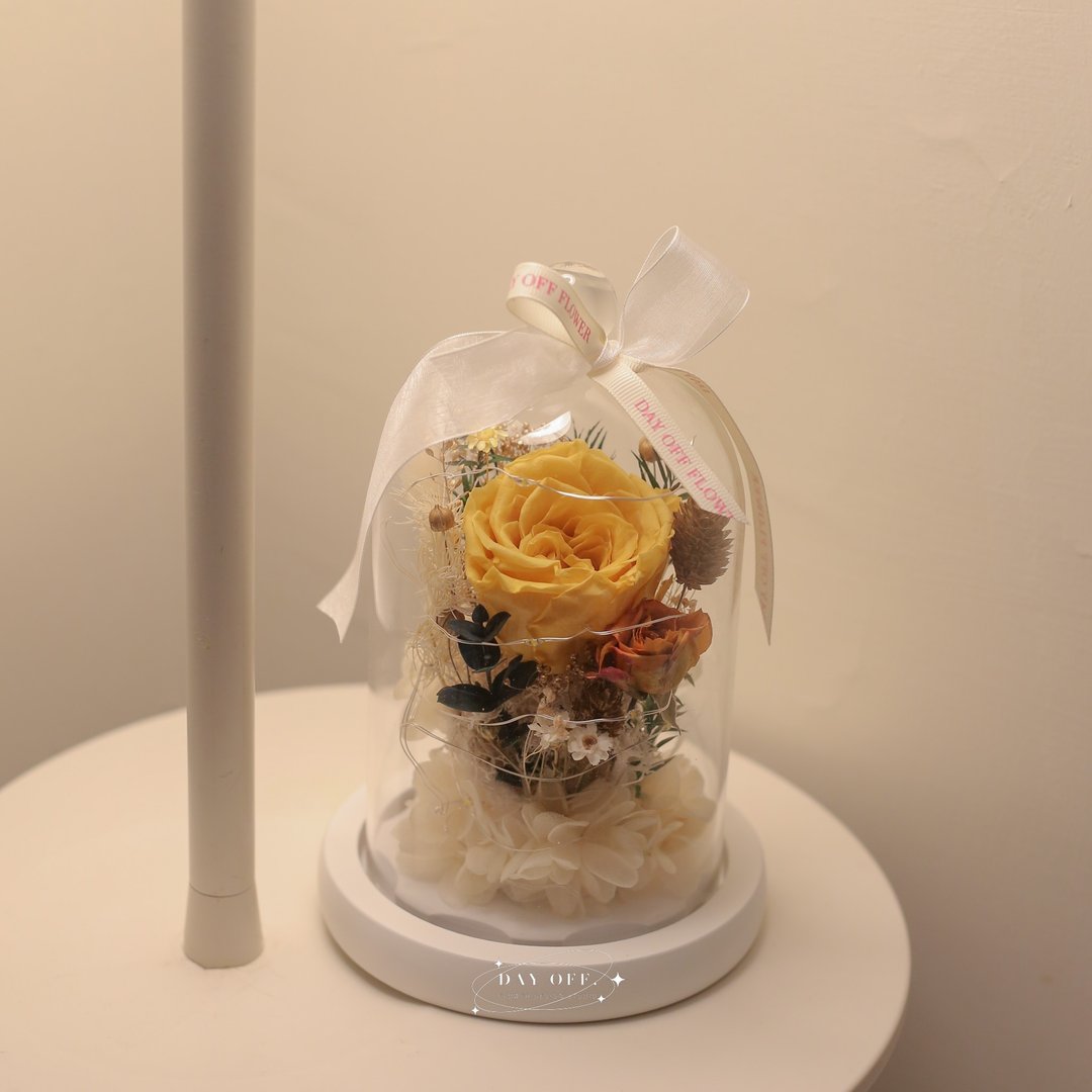 DAY OFF 永生玫瑰花小夜灯 生日礼物 夜灯 干燥花 定制化 ins风 - 干燥花/捧花 - 植物．花 