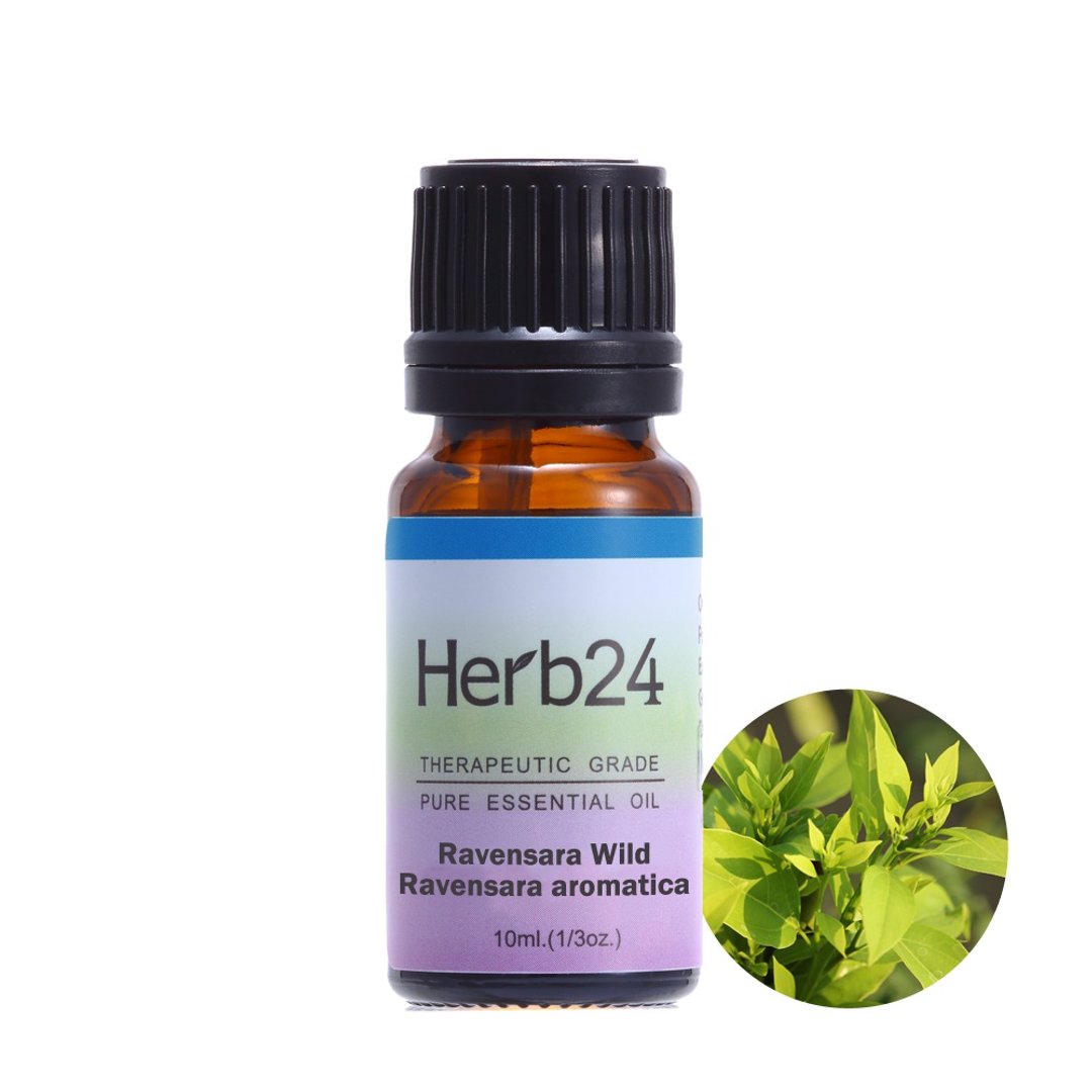 罗文沙叶 纯质精油 10ml - 香薰/精油/线香 - 精油 