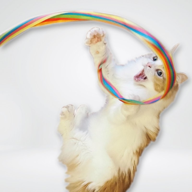 【日本CattyMan】尽情跳舞 ! 柔柄五彩飘带伸缩逗猫棒 - 玩具 - 其他材质 