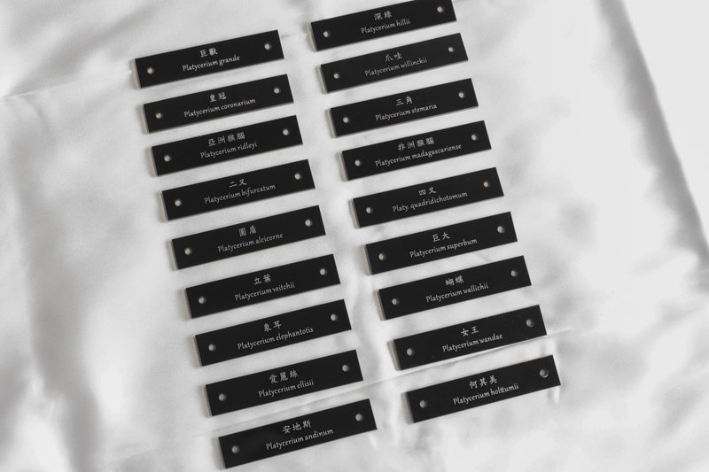 鹿角蕨名牌 | 压克力 | 原生18种 - 植栽/盆栽 - 塑料 