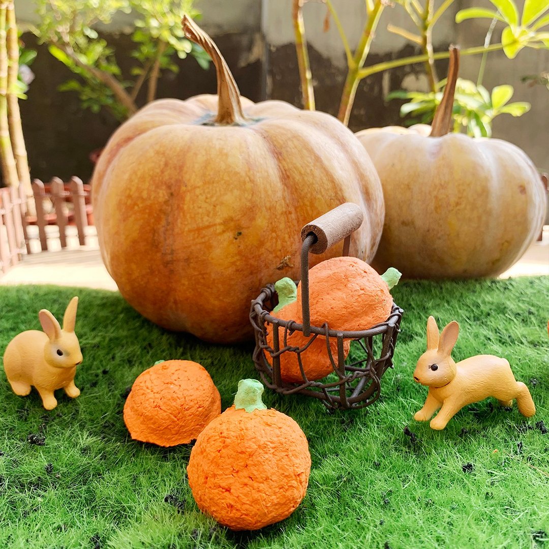 【Pumpkin Grows】南瓜造型种子球 (不含花器/培养土) - 植栽/盆栽 - 植物．花 橘色