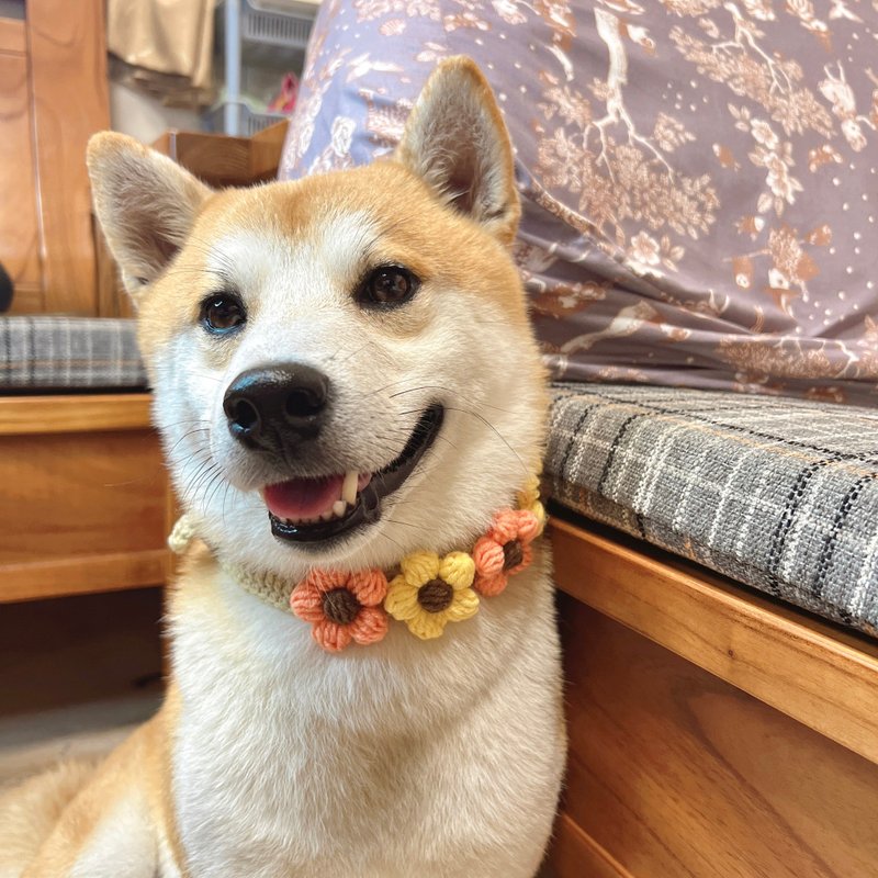 手工毛线编织∣宠物毛线项圈∣定制花朵系列 - 项圈/牵绳 - 棉．麻 多色