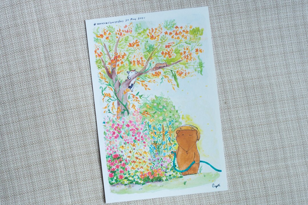 熊熊浇花日 明信片 - 卡片/明信片 - 纸 多色