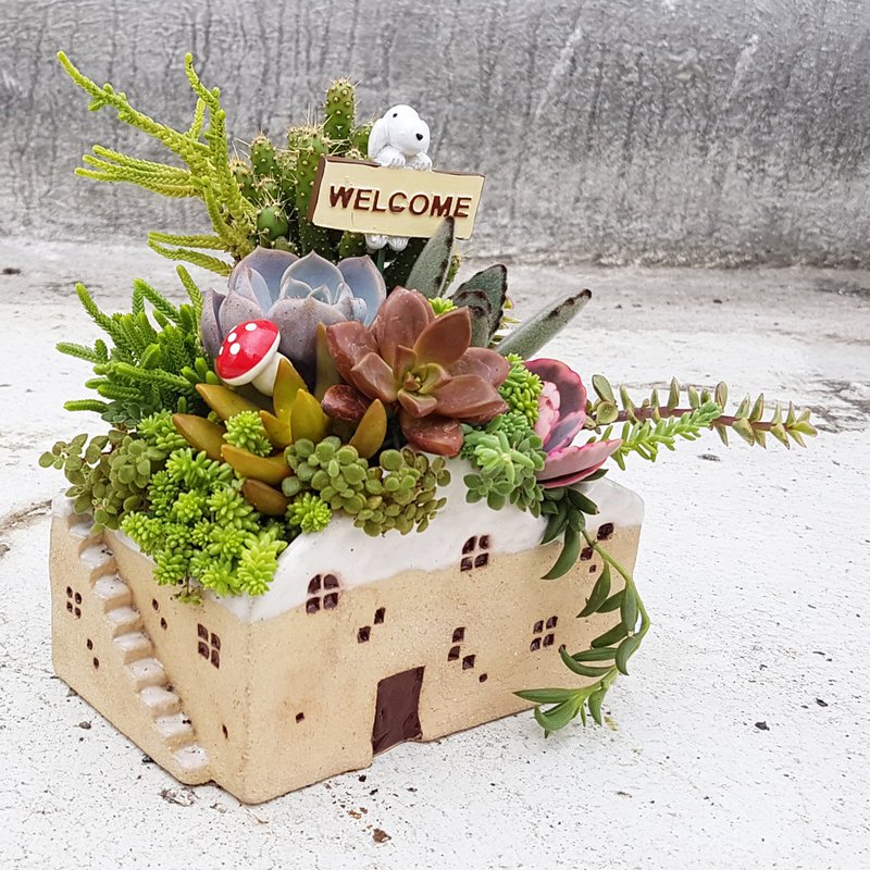 雪中漫步系列 - 大雪屋 3 多肉组盆【Walking amidst the snow】 - 植栽/盆栽 - 陶 白色