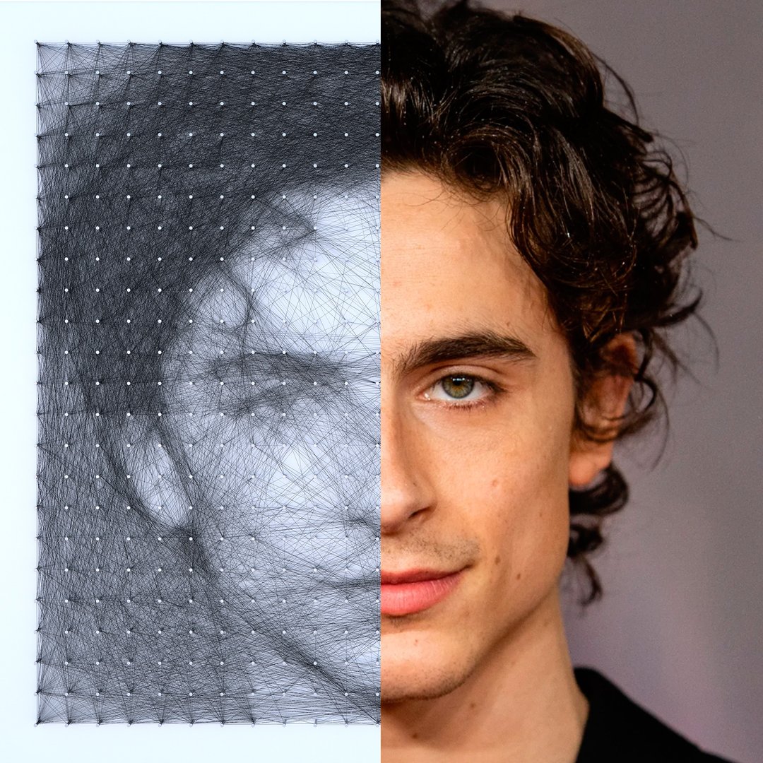 弦乐艺术线墙板逼真 Timothee Chalamet 家居装饰 - 墙贴/壁贴 - 绣线 黑色