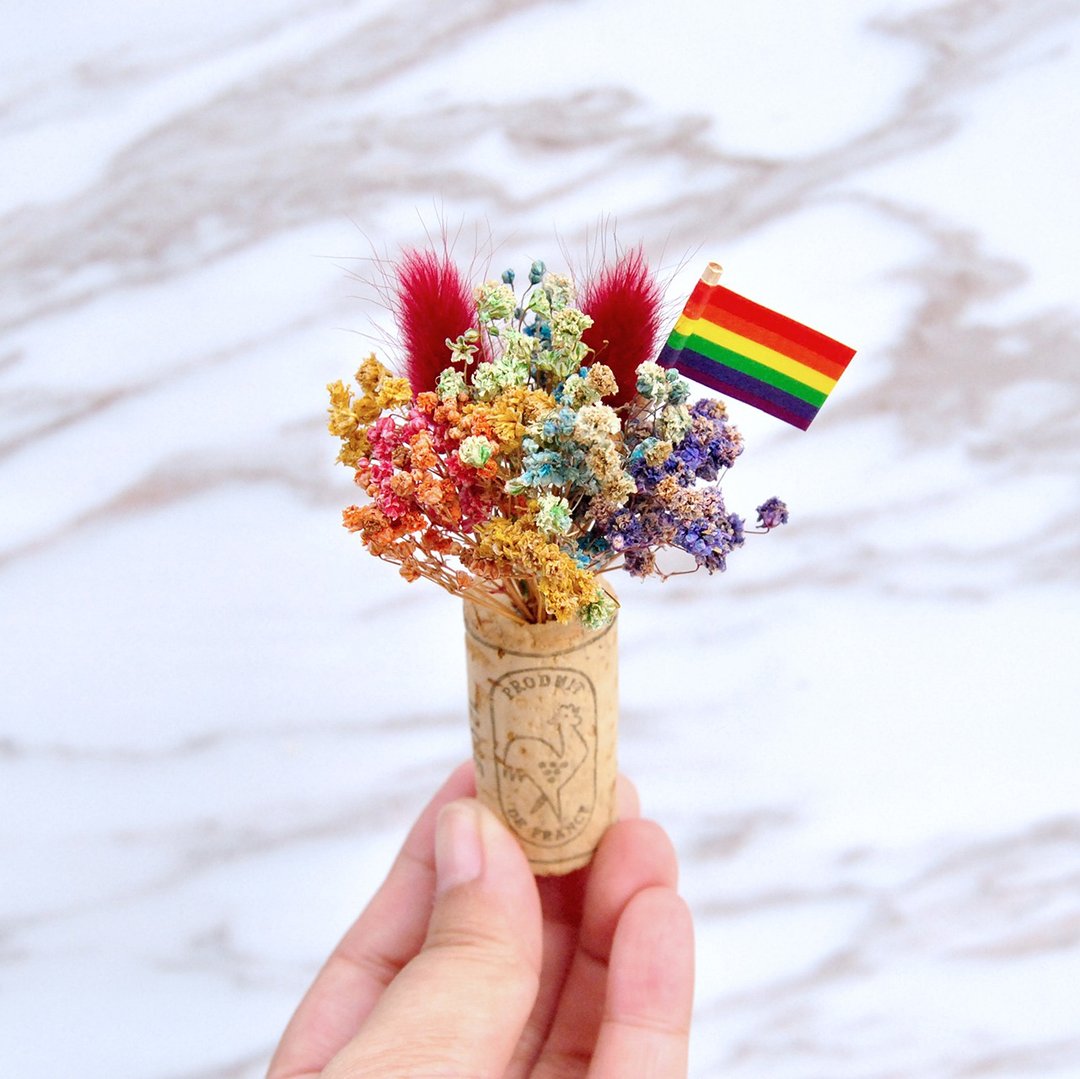 软木塞干燥花磁铁-LGBT六色彩虹毛孩款 圣诞礼物 - 冰箱贴/磁贴 - 植物．花 多色