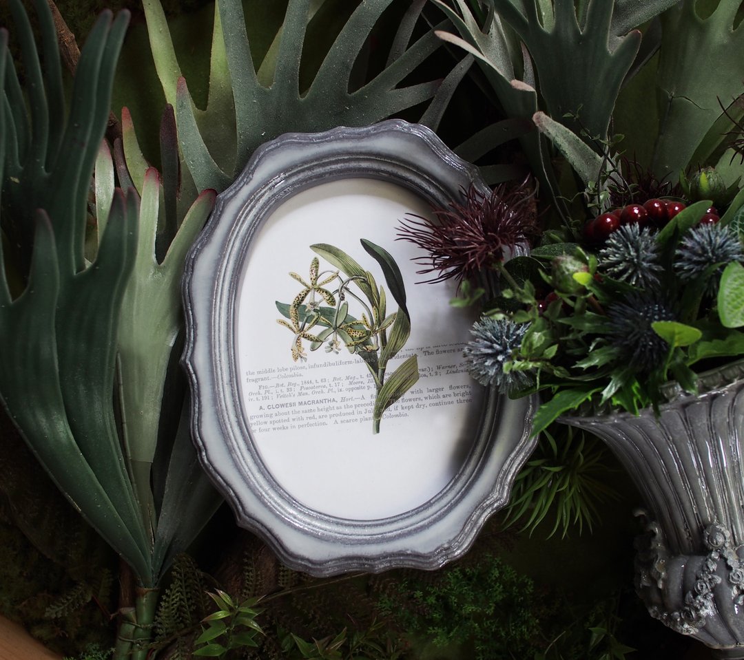 Charming photo frame glossy color oval shape modern vintage style - 画框/相框 - 木头 灰色