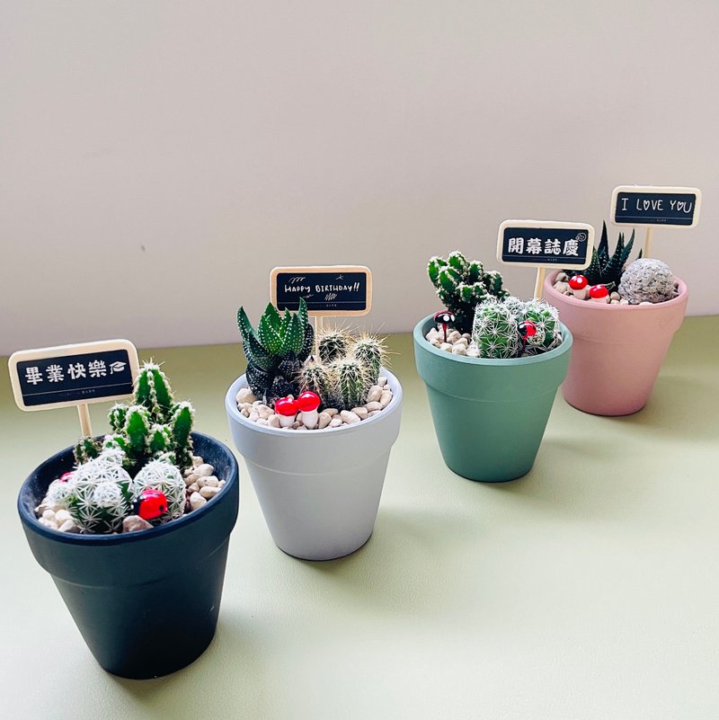 【我不想念你才怪】送你倔强仙人掌 DIY礼盒组 毕业礼物 生日礼物 - 植栽 - 植物．花 