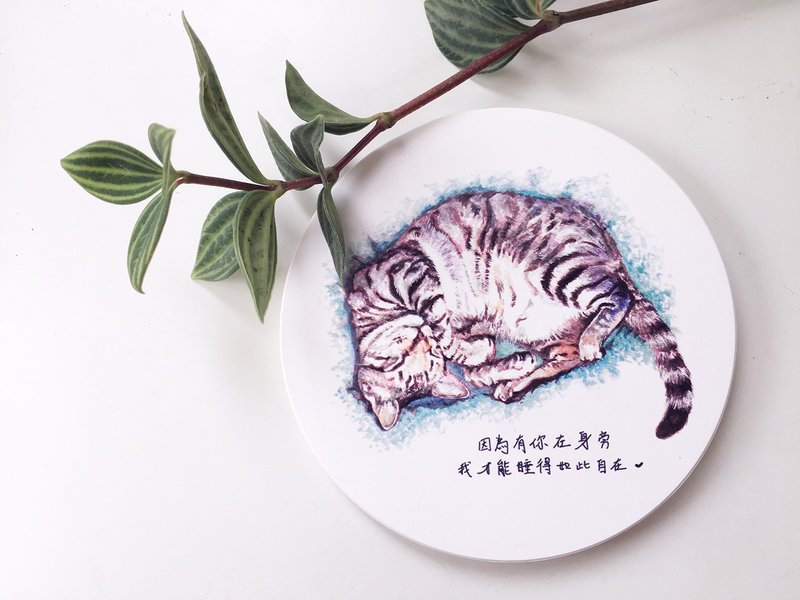 动物插画陶瓷吸水杯垫【熟睡虎斑猫】 - 杯垫 - 陶 白色