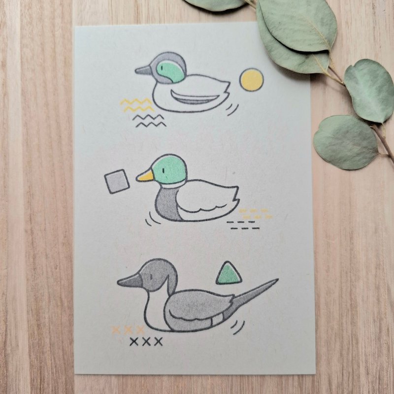 明信片 3种鸭子 - 卡片/明信片 - 纸 