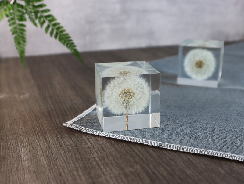 梦天涯 蒲公英冰砖 (5cm) - 摆饰 - 树脂 白色