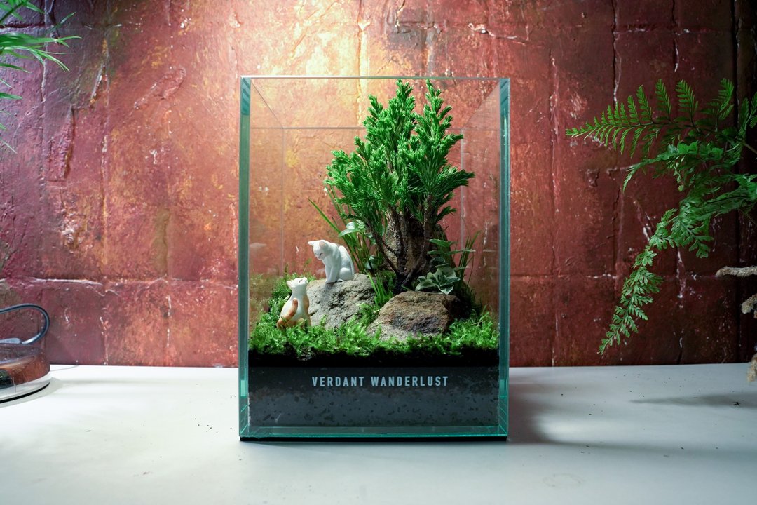 【生态缸－在树下等你】微景观 室内植栽 礼物 办公室摆设 - 植栽/盆栽 - 玻璃 绿色