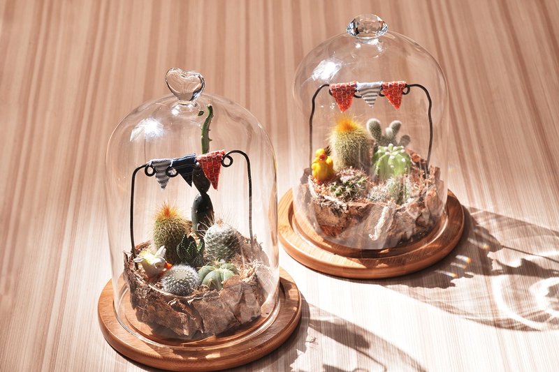 玻璃杂货风多肉组 | 升官 乔迁 开幕 盆栽 - 植栽/盆栽 - 纸 透明