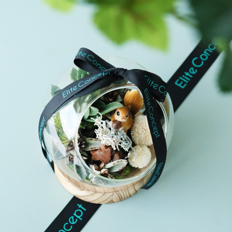 岁月静好 | 植栽 - 植栽/盆栽 - 植物．花 绿色