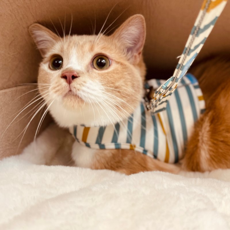 SHAPU 大角度胸背衣-湖绿条(不含牵绳) - 项圈/牵绳 - 聚酯纤维 