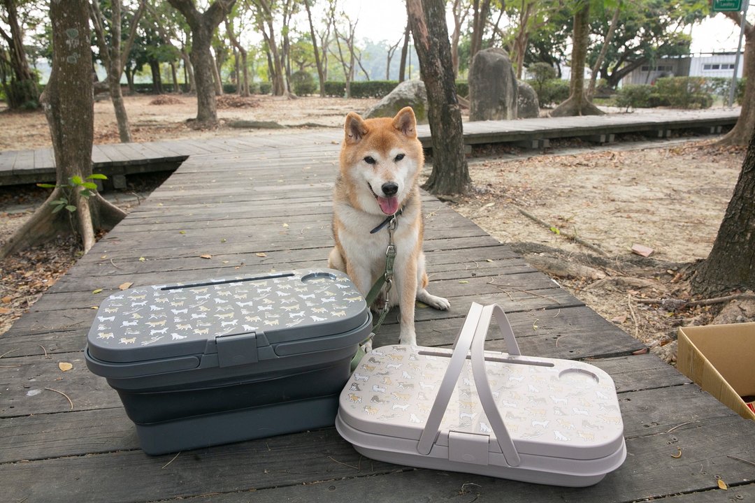 柴犬大学 满满柴多功能折叠野餐盒 手提野餐篮 柴犬周边 露营用品 - 露营用品 - 塑料 灰色