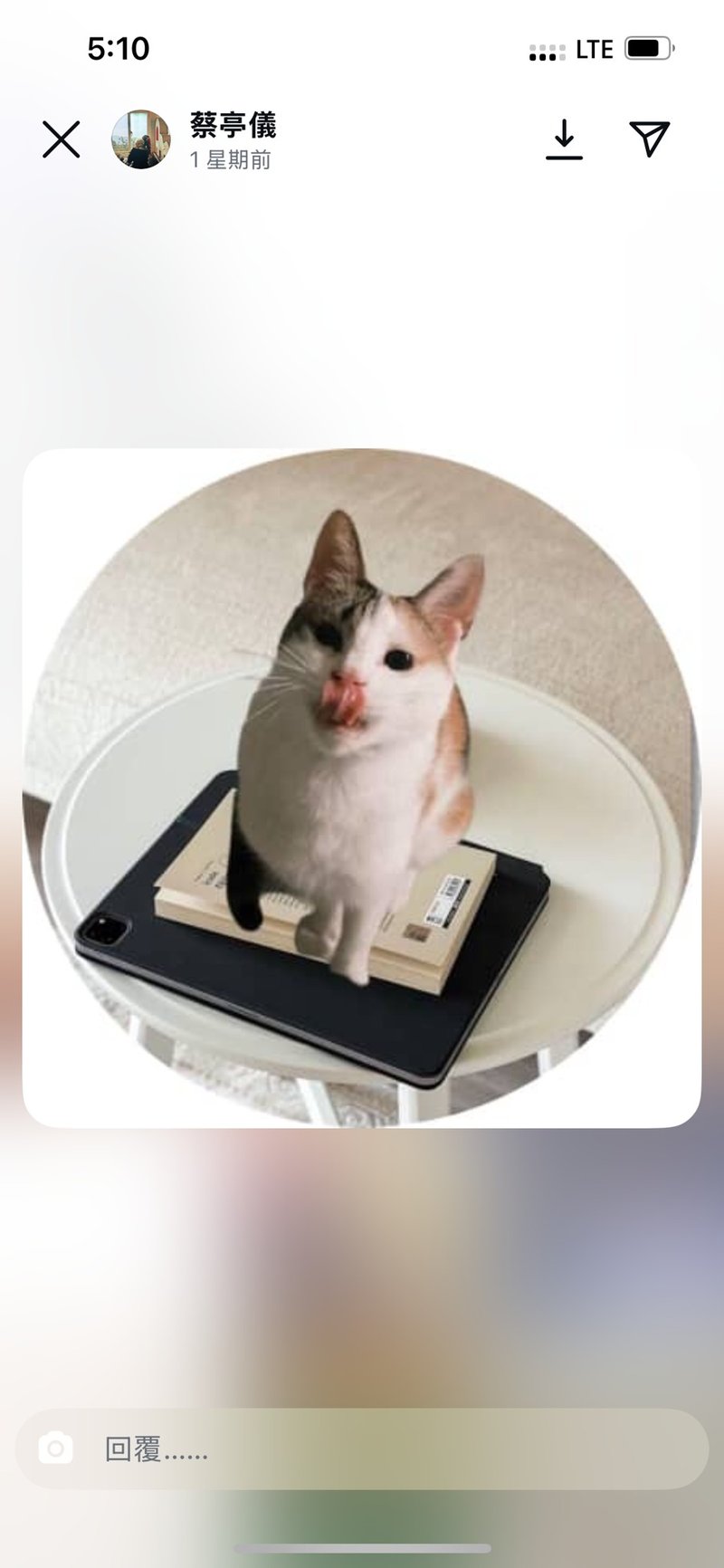 猫猫耳钉空托 - 耳环/耳夹 - 其他材质 