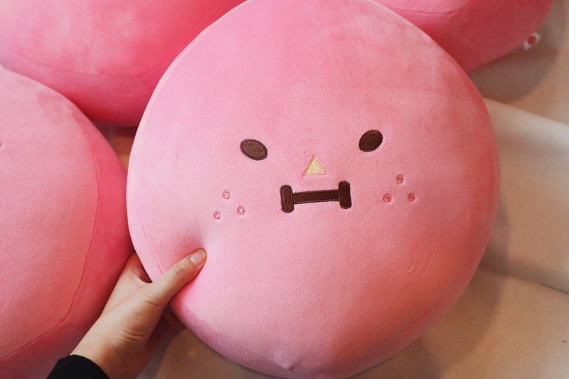 Wanggooma 热腾腾抱枕 - 其他 - 棉．麻 粉红色