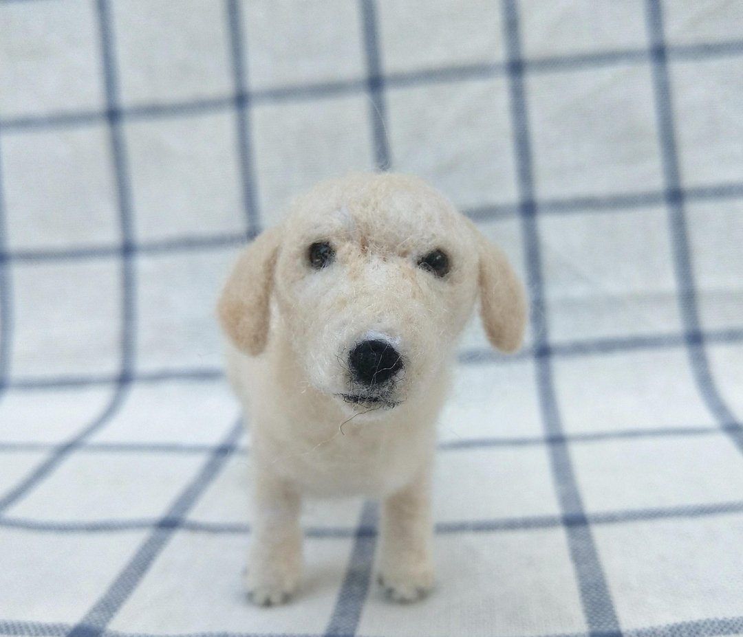 定制化礼物 羊毛毡 宠物 复刻 仿真 狗狗 - 拉布拉多 幼犬 导盲犬 - 其他 - 羊毛 白色