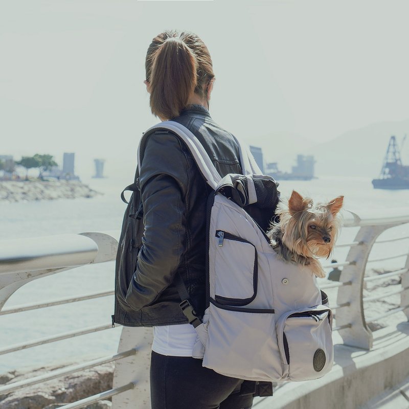 宠物外出背包 (灰色) - 外出包 - 尼龙 灰色