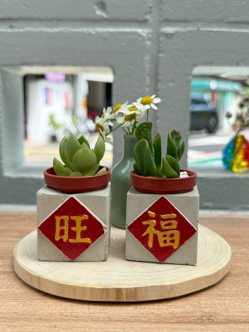 送礼首选 旺(发)福磁铁盆栽组 送包装 - 植栽/盆栽 - 水泥 红色