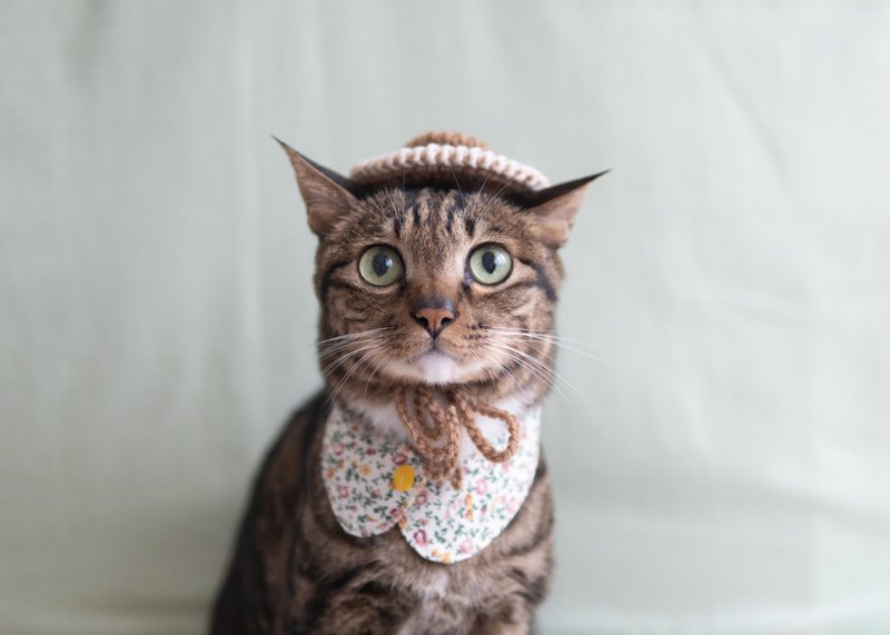 【草帽・麦わら帽子】宠物饰品 猫咪/狗狗 -  啡X米色圆边帽子 - 衣/帽 - 其他材质 咖啡色