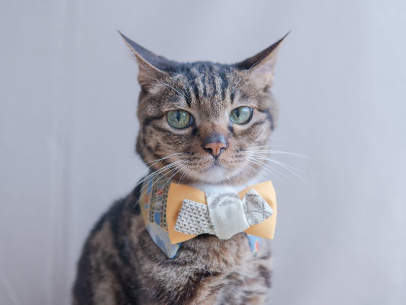 【和服・きもの系列】宠物领巾 猫咪/狗狗 和风 男生款 - 深蓝色 - 项圈/牵绳 - 棉．麻 蓝色