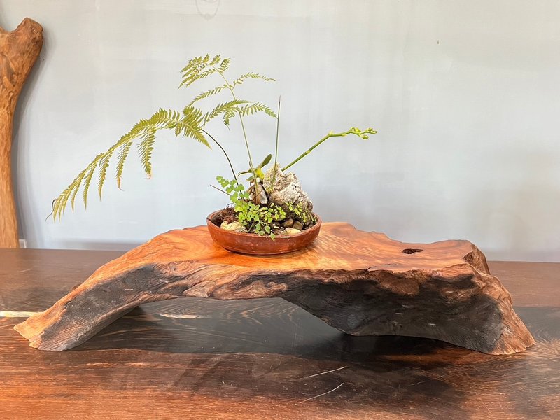 台湾牛樟-闪花艺品台面 - 摆饰 - 木头 咖啡色