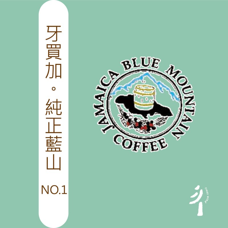 TreesWind 牙买加 纯正蓝山 咖啡豆 - 咖啡 - 其他材质 