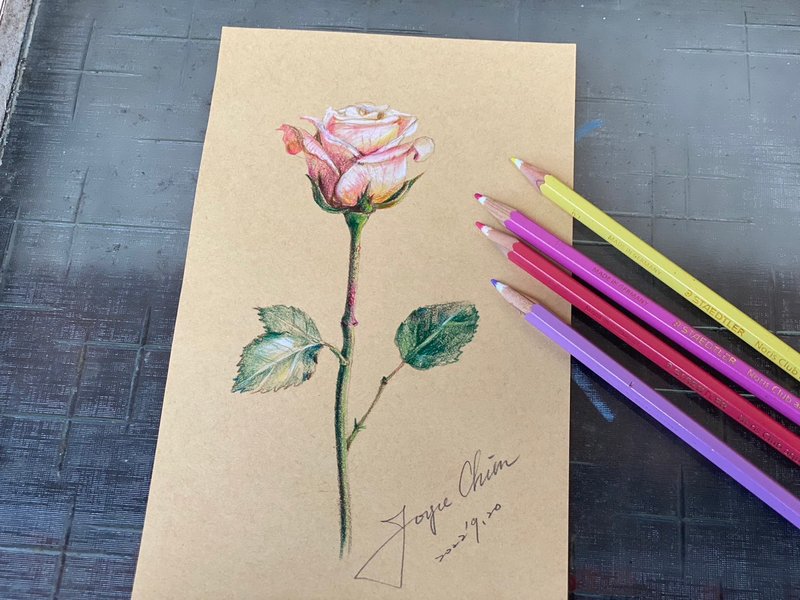 【一人成团】疗愈系色铅笔 古典粉色玫瑰 - Joyce老师 - 插画/绘画/写字 - 纸 