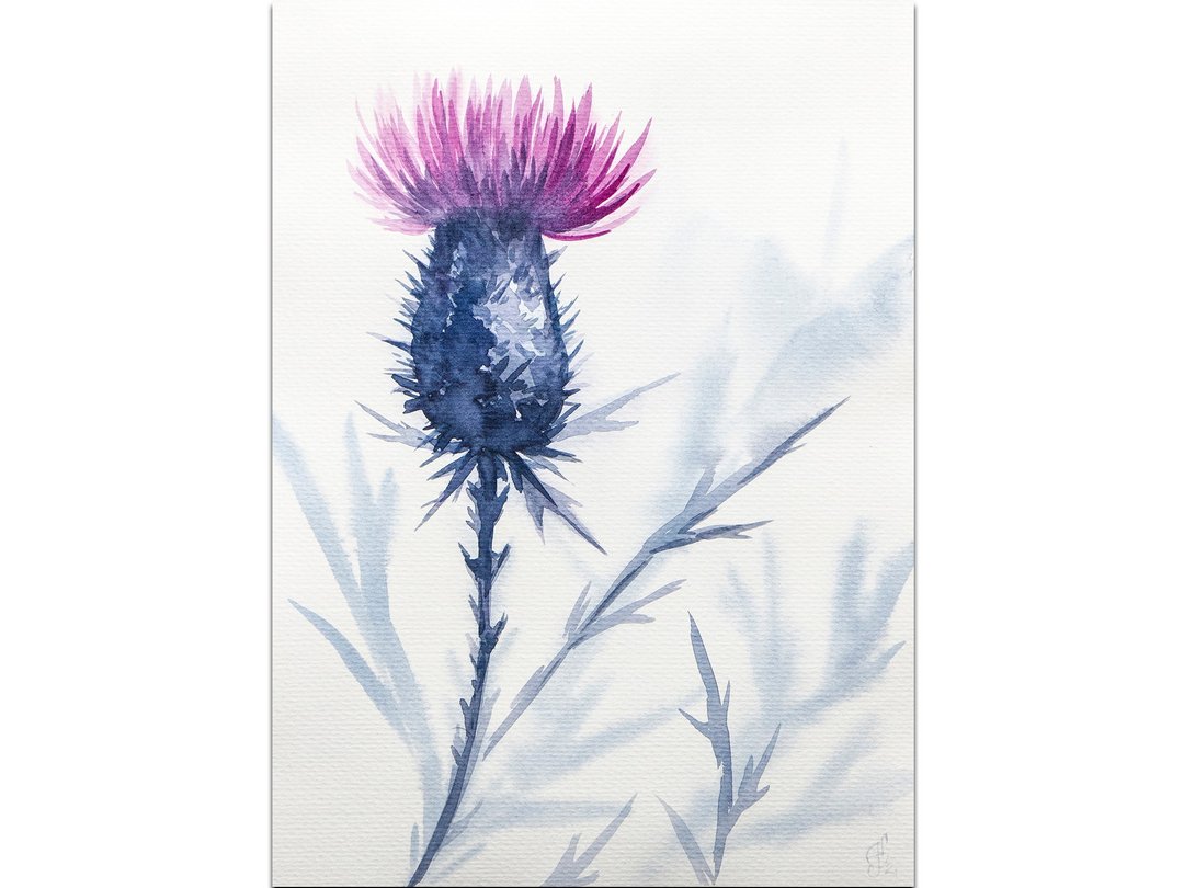 Thistle Painting Flower Original Art Indigo Floral Watercolor Hand-Painted - 海报/装饰画/版画 - 纸 蓝色