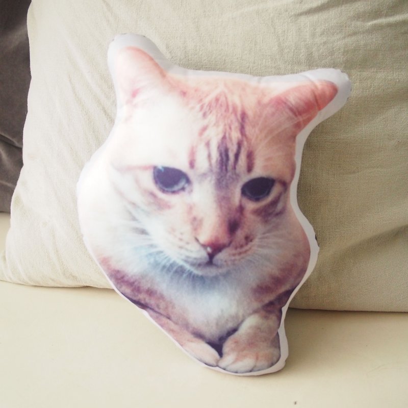 宠物仿真造型抱枕订制 定制化礼物 宠物纪念 - 枕头/抱枕 - 其他材质 多色